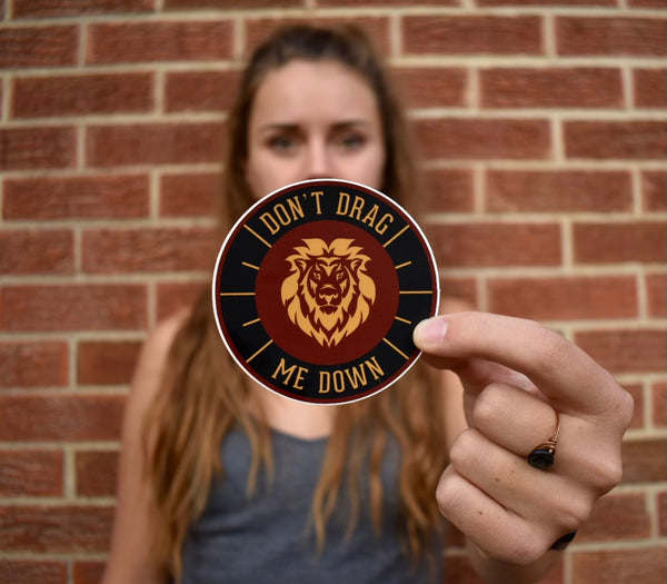 Don't Drag Me Down Stickers (2 pack)